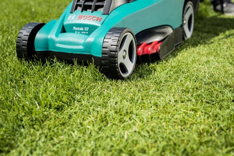 Vertikutieren, nachsäen, düngen: Start-up Pflege für den Rasen im